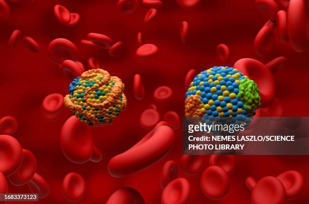 stockillustraties, clipart, cartoons en iconen met high and low density lipoproteins, illustration - high density lipoprotein