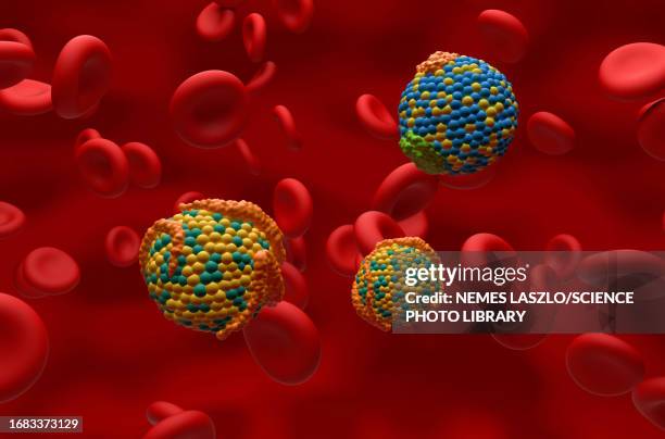 illustrazioni stock, clip art, cartoni animati e icone di tendenza di high and low density lipoproteins, illustration - lipoproteina a bassa densità