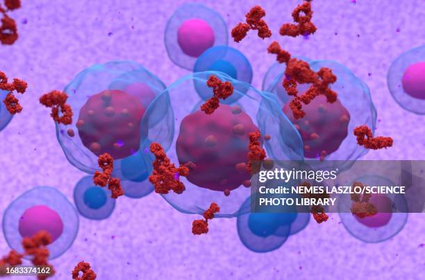 multiple myeloma cell emitting paraprotein, illustration - myeloma stock illustrations