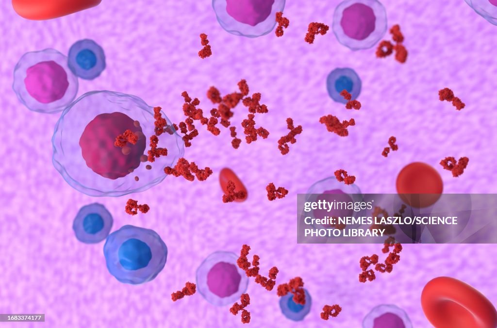 Paraprofen Multiple Myeloma Cell Emitting Paraprotein Illustration High-Res Vector ...