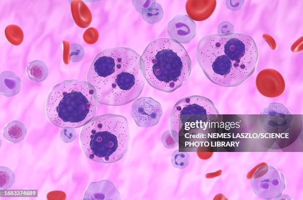 multiple myeloma, illustration - plasma cell stock illustrations