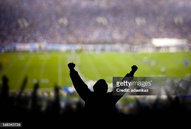 football-spaß - stadium crowd stock-fotos und bilder