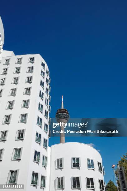 curvature shape of white exterior facade with rectangular windows and rheinturm, iconic architecture at madiahafen. - collection launch arrivals stock pictures, royalty-free photos & images