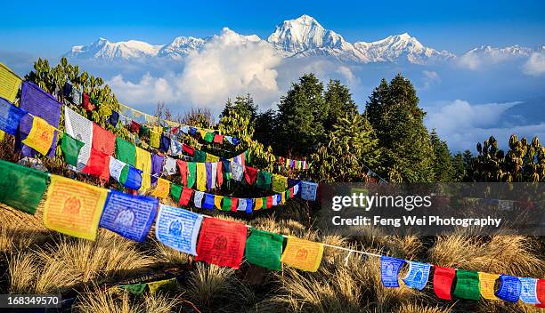 prayer flags and dhaulagiri, annapurna, nepal - nepal stock pictures, royalty-free photos & images