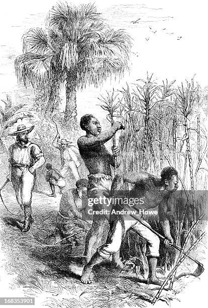 ilustraciones, imágenes clip art, dibujos animados e iconos de stock de la esclavitud - esclavitud