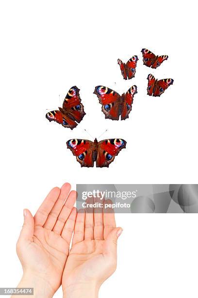 freedom - releasing butterflies stock pictures, royalty-free photos & images
