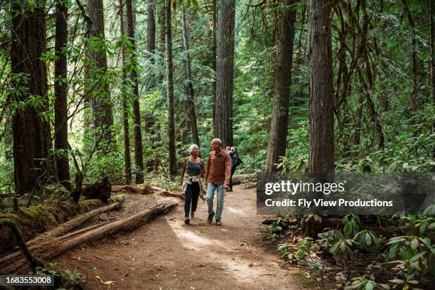 pareja de ancianos activa y aventurera caminando por el bosque siempre verde - gran angular fotografías e imágenes de stock