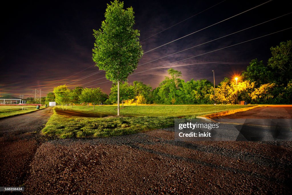 Park at Night