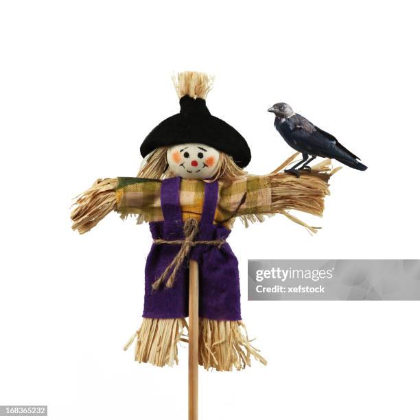 lonely scarecrow - scarecrow agricultural equipment stock pictures, royalty-free photos & images