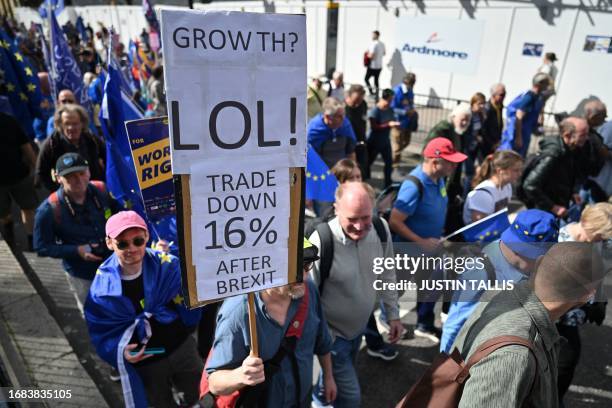 Protester holds an anti-Brexit placard during a rally calling for the UK to rejoin the EU in central London on September 23, 2023.