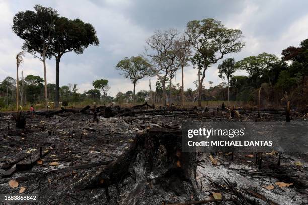 View of a deforested and burning area of the Amazon rainforest in Autazes, Amazonas, Brazil, on September 22, 2023. According to the Space Research...