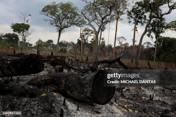 View of a deforested and burning area of the Amazon rainforest in Autazes, Amazonas, Brazil, on September 22, 2023. According to the Space Research...
