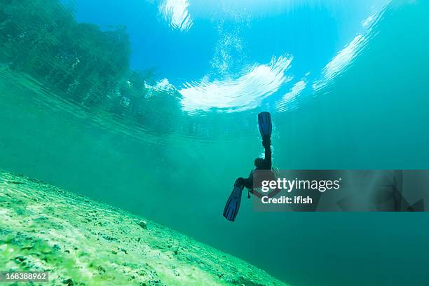 immersioni in acque cristalline del lago samarang, austria - lake bottom foto e immagini stock