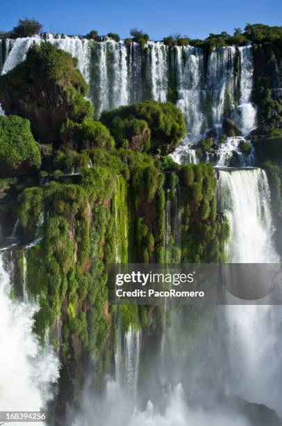 view of iguazu falls, argentina - iguacu falls stockfoto's en -beelden