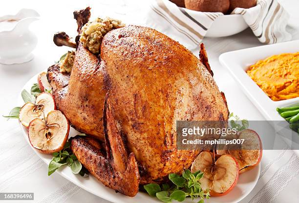 thanksgiving turkey - fylld kalkon bildbanksfoton och bilder
