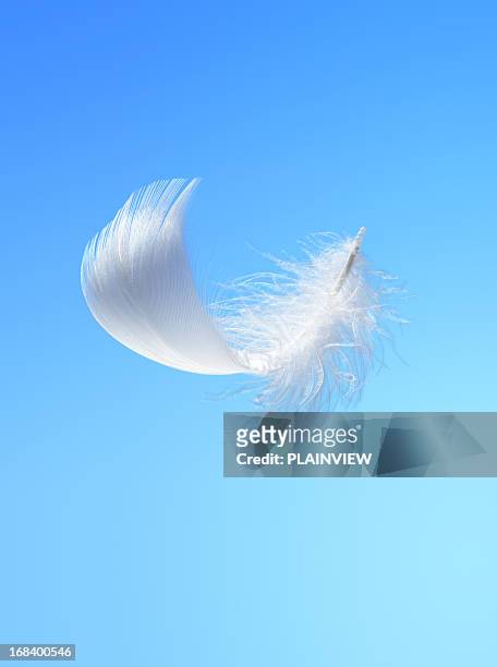 white feather - feather floating stock pictures, royalty-free photos & images