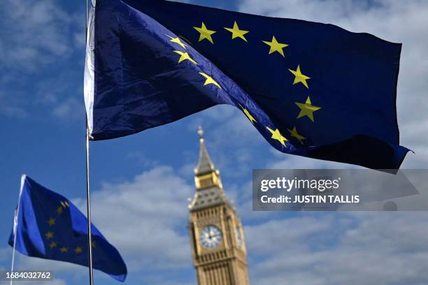 Flags are waved near Elizabeth Tower, commonly called Big Ben, after protesters marched from Hyde Park to Palace of Westminster in central London...