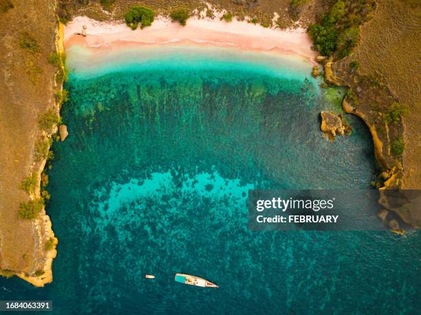 pink beach, indonesia - sumba stock pictures, royalty-free photos & images