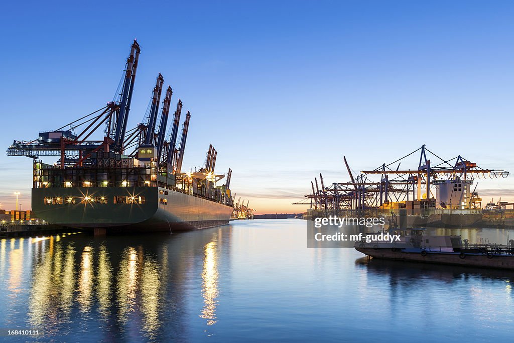 Hamburger Hafen, Cargo-Terminal
