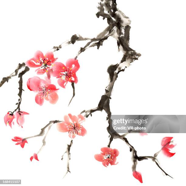 bildbanksillustrationer, clip art samt tecknat material och ikoner med plum blossom - japansk skrift