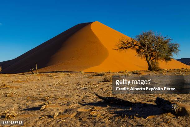 dune 45, namibia - namib-naukluft national park - sesriem deadvlei sossusvlei desert - namibian cultures stock pictures, royalty-free photos & images