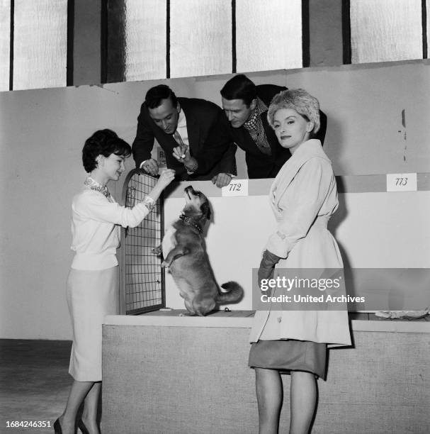 Sturm im Wasserglas, Spielfilm nach dem Bühnenstück von Bruno Frank, Deutschland 1960, Regie: Josef von Baky, Hund Toni macht Männchen vor Hanns...