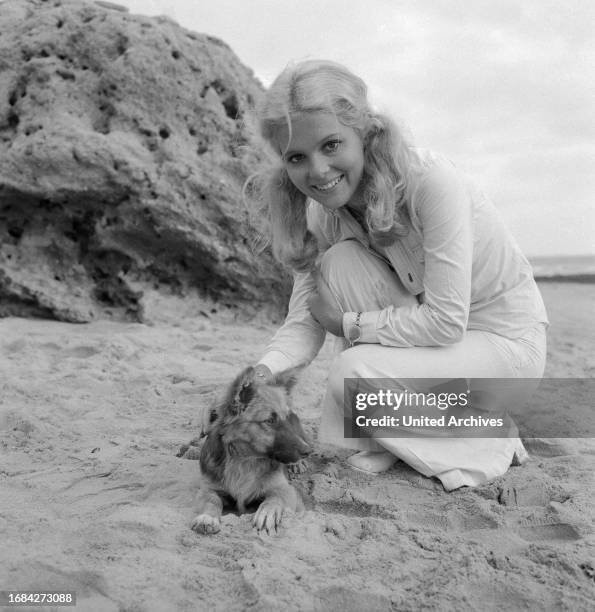 Ein Käfer gibt Vollgas, Filmkomödie, Deutschland/Schweiz 1972, Regie: Rudolf Zehetgruber, Darsteller: Heidi Hansen mit Streuner.