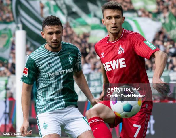 Milos Veljkovic of Werder Bremen against Dejan Ljubicic of 1. FC Köln during the Bundesliga match between SV Werder Bremen and 1. FC Köln at...