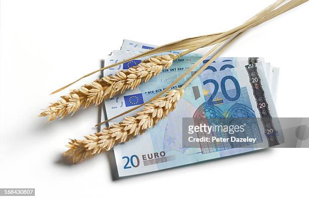 euro bank note with ear of wheat - twenty euro banknote stock pictures, royalty-free photos & images