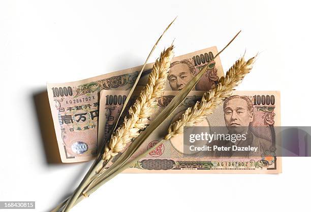 yen bank note with ear of wheat - ten thousand yen note stock-fotos und bilder