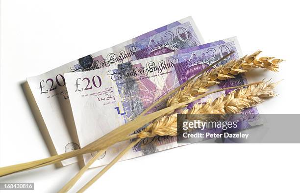 pound bank notes with ear of wheat - twenty pound note stock pictures, royalty-free photos & images