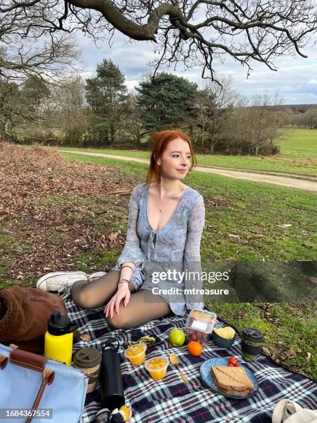 image of attractive redheaded woman wearing long-sleeved dress sitting on picnic blanket laid out with plates, cups and cutlery, sandwich and fruit  picnic food on grass area in public park, focus on foreground - green apple slices stock pictures, royalty-free photos & images