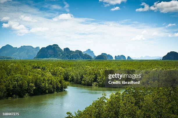 bellissimo paesaggio vista di phang nga bay in tailandia - provincia di phang nga foto e immagini stock