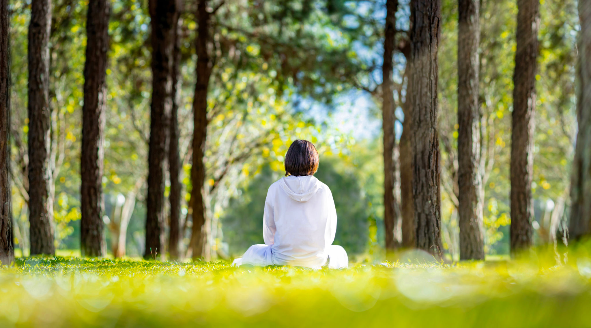 mindfulness meditation