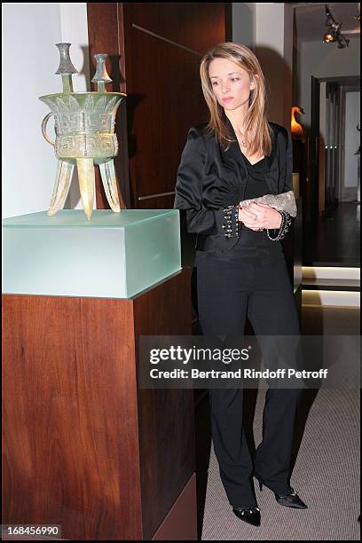 Madame Alessandro Vallarino Gancia at Gala Opening Evening At The Christian Deydier Art Exhibition In Paris.