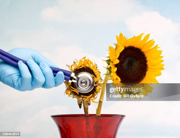 Medical Spring Background Medical Spring Photos and Premium High Res Pictures - Getty Images