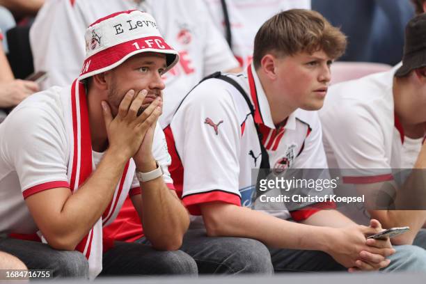 Fans of Koeln look dejectedduring the Bundesliga match between 1. FC Köln and TSG Hoffenheim at RheinEnergieStadion on September 16, 2023 in Cologne,...