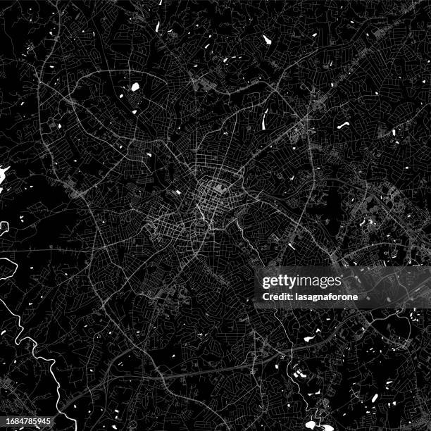 illustrations, cliparts, dessins animés et icônes de greenville, caroline du sud, états-unis carte vectorielle - greenville-south-carolina