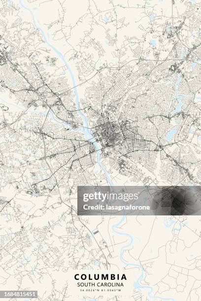 columbia, south carolina, usa vector map - congaree national park south carolina stock illustrations