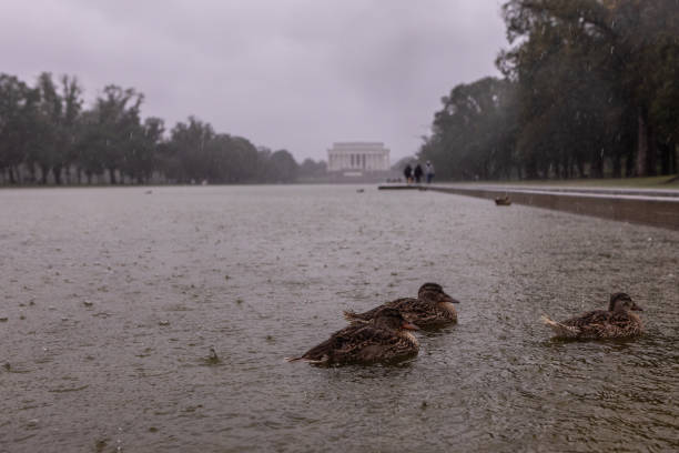 USA: Tropical Storm System Brings Heavy Rain And Wind To Washington, D.C. Area