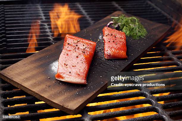 wild salmon fillet outdoor cedar plank bbq grill - rustic salmon fillets stock pictures, royalty-free photos & images