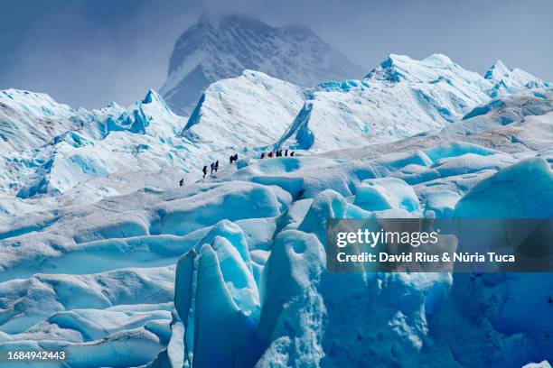 perito moreno glacier - los glaciares national park stock pictures, royalty-free photos & images