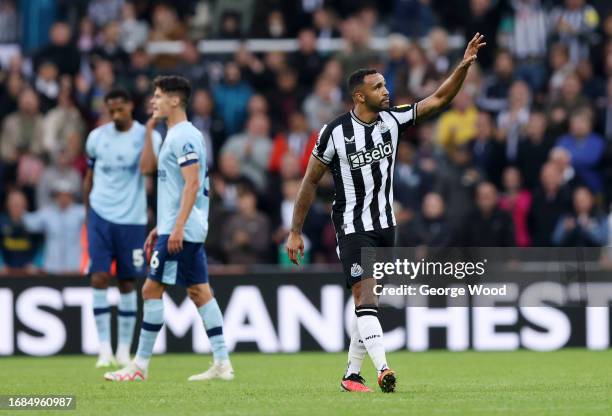 Callum Wilson of Newcastle United celebrates after scoring their sides first goal from the penalty spot during the Premier League match between...