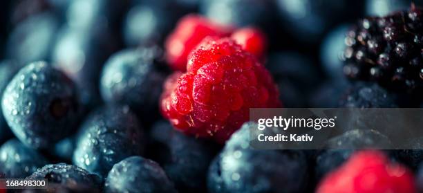 fresh summer berries - berry fruit stock pictures, royalty-free photos & images