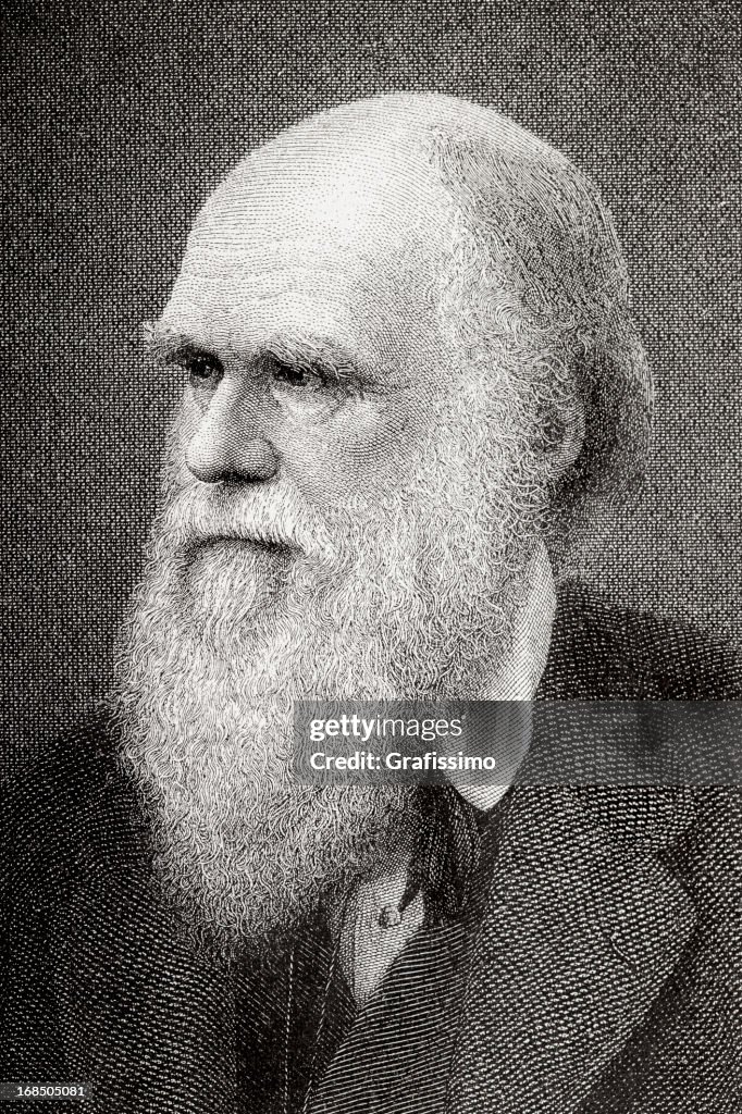 Gravieren der Wissenschaftler Charles Darwin aus 1882