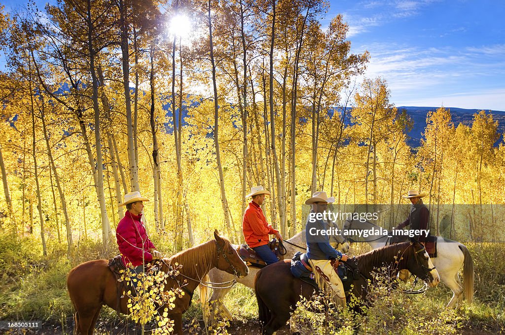 Autumn horseback riding