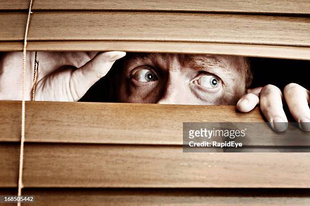 worried-looking man peeps sideways through venetian blind - rea001 stock pictures, royalty-free photos & images