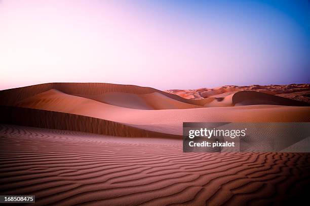 wüste der dämmerung - desert night stock-fotos und bilder