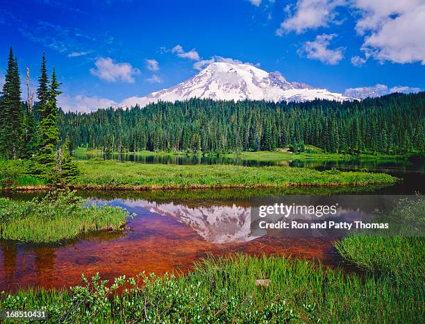 mount rainier national park - mount rainier nationalpark stock-fotos und bilder