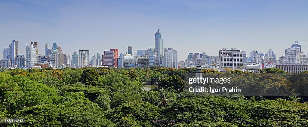 Bangkok Treeline Panorama